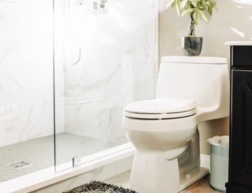 One-Piece vs. Two-Piece Toilets: What’s the Difference?
